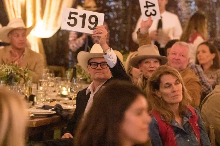 Audience at a dinner event raising numbered paddles, including 519 and 43, in a warmly lit room