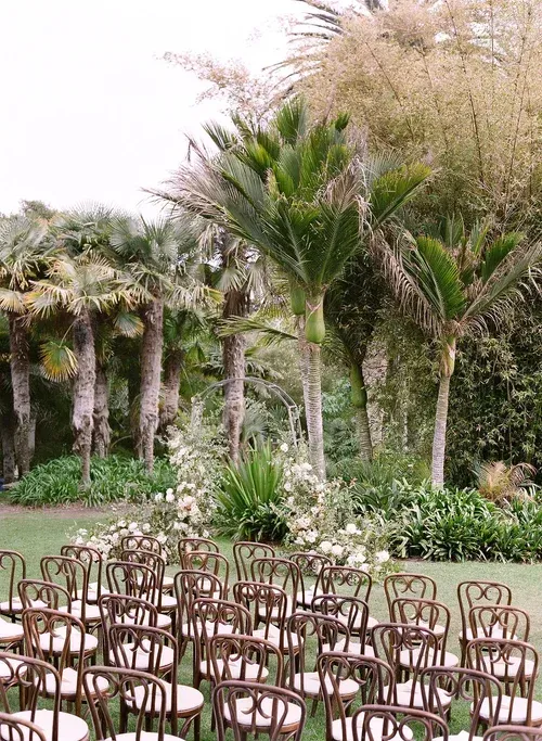 Rows of wooden chairs facing a lush garden with palm trees and tall grasses