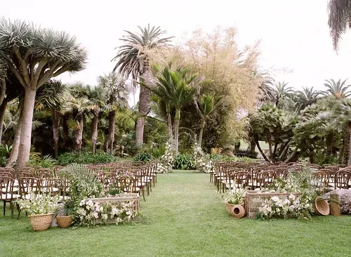 Outdoor garden aisle lined with rows of wooden chairs amid lush palm trees and greenery