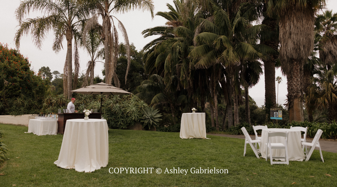 Outdoor reception setup on a lawn with white cocktail tables, chairs, and palm trees in the background