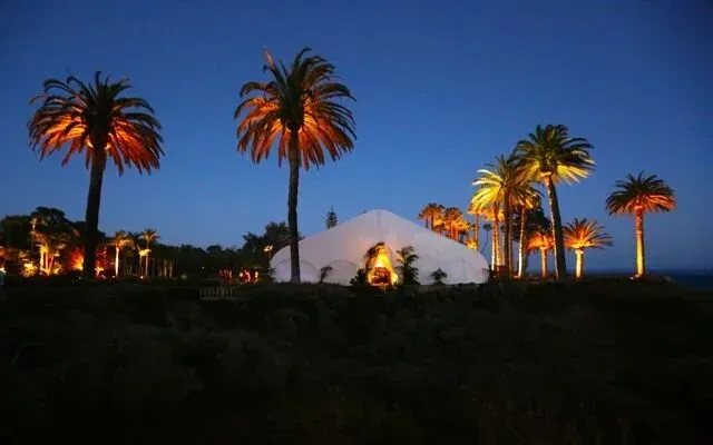 Palm trees lit at dusk around a white tent in a desert oasis setting