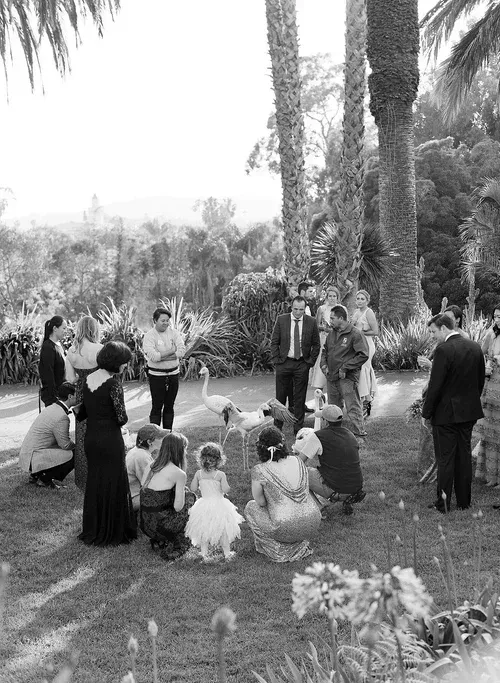 People gathered in a garden under palm trees, some seated on the grass and others standing in a circle.