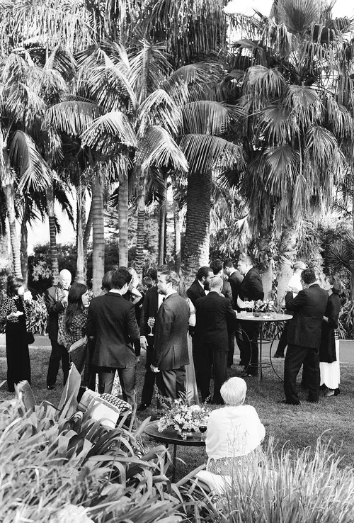 People gathered in a palm garden at an outdoor social event, standing in small groups.