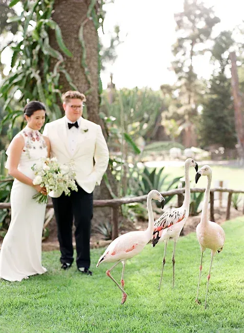Wedding couple posing with flamingos on a grassy lawn