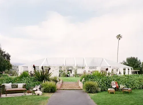 White event tent in a landscaped garden with a central walkway and tall palm tree in the background