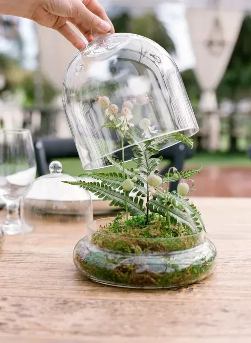 Hand placing a glass cloche over a small fern terrarium on a wooden table