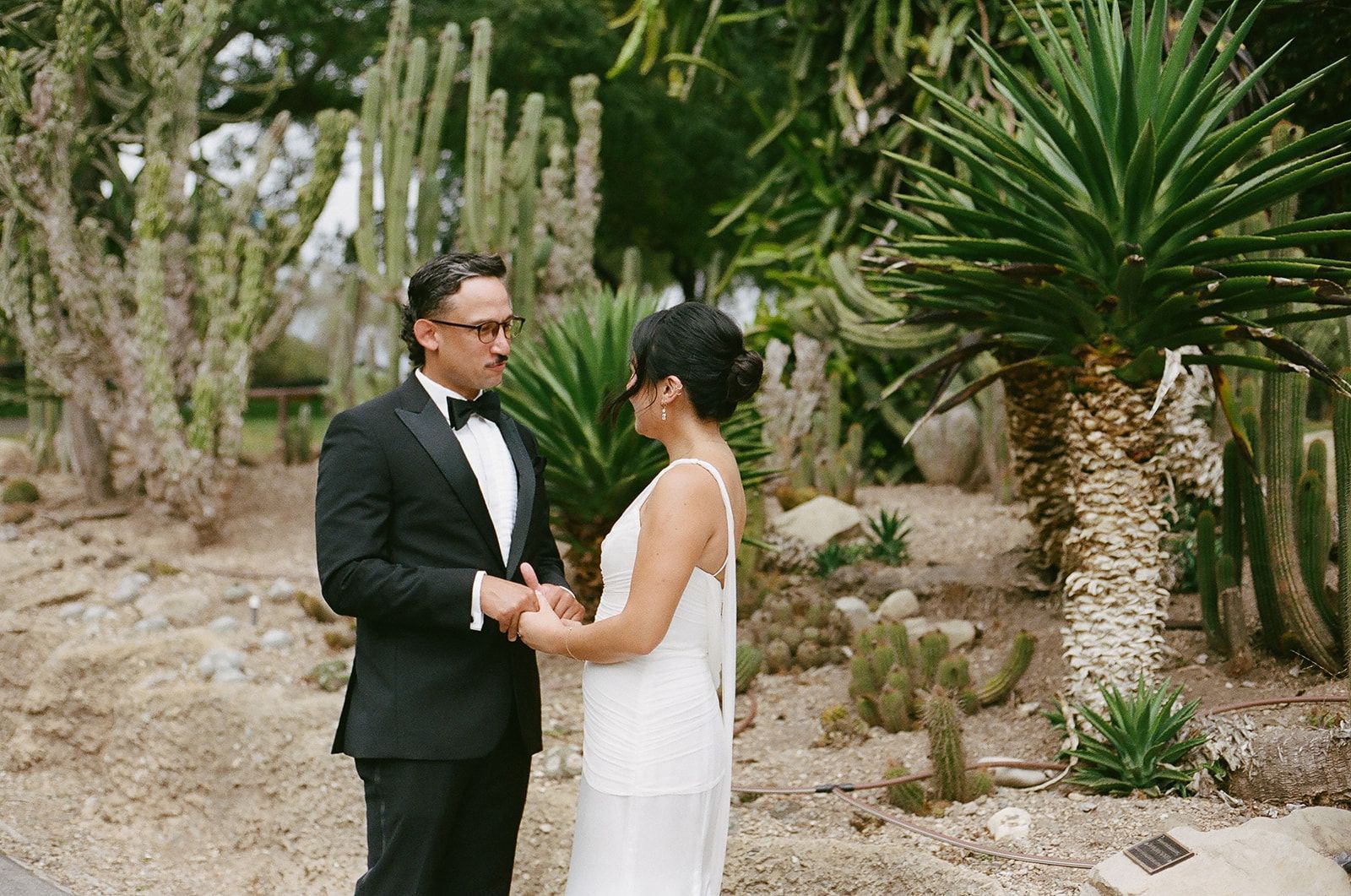 Couple exchanging vows in a garden surrounded by cacti and greenery