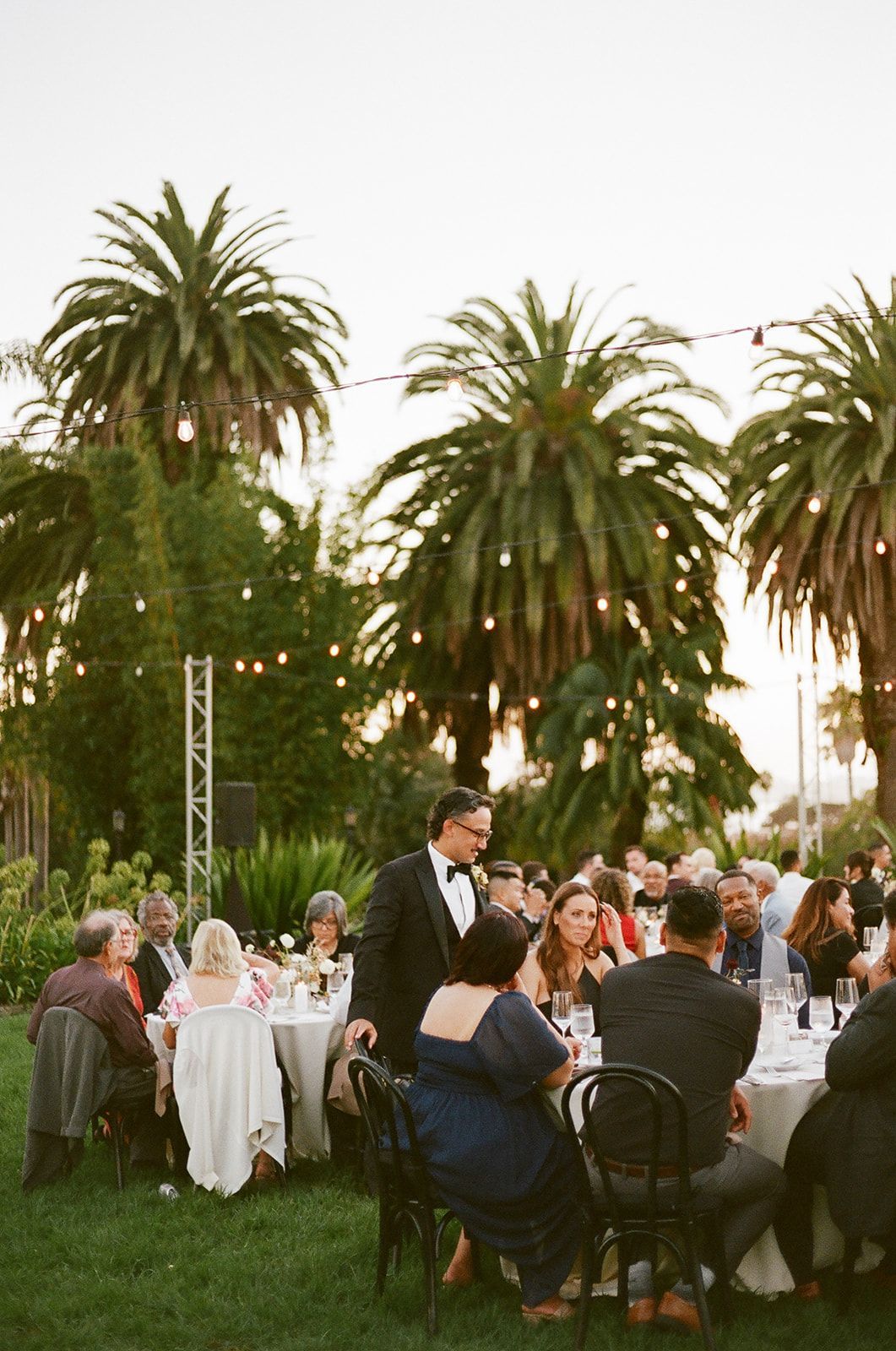 Outdoor wedding reception with guests dining at round tables under tall palm trees at dusk