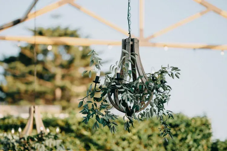 Hanging glass terrarium with greenery against a blurred outdoor garden background