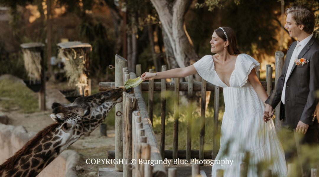 Woman in white dress reaching toward a giraffe in a wooded outdoor setting, with a man standing beside her