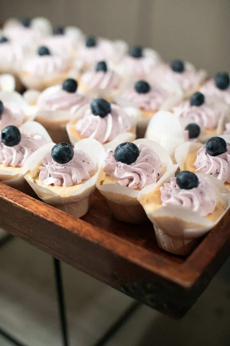 Tray of cupcakes with pink frosting and blueberries on top