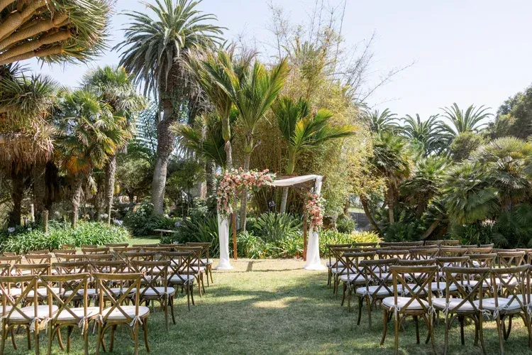 Outdoor wedding ceremony setup with rows of chairs, white arch, and palm trees on a sunny lawn