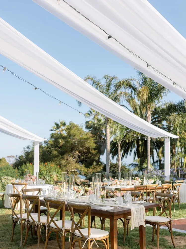 Outdoor banquet tables under white drapes and string lights beside palm trees in a sunny garden.