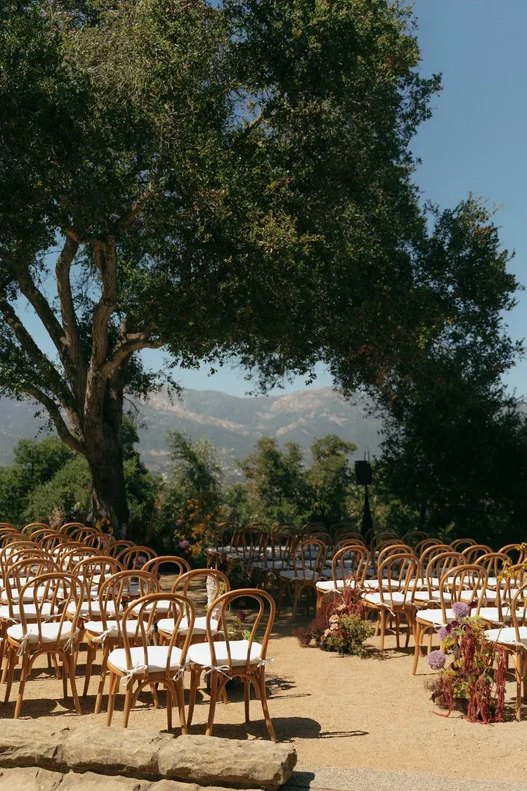 Outdoor wedding setup with rows of wooden chairs under large trees, overlooking a scenic mountain backdrop
