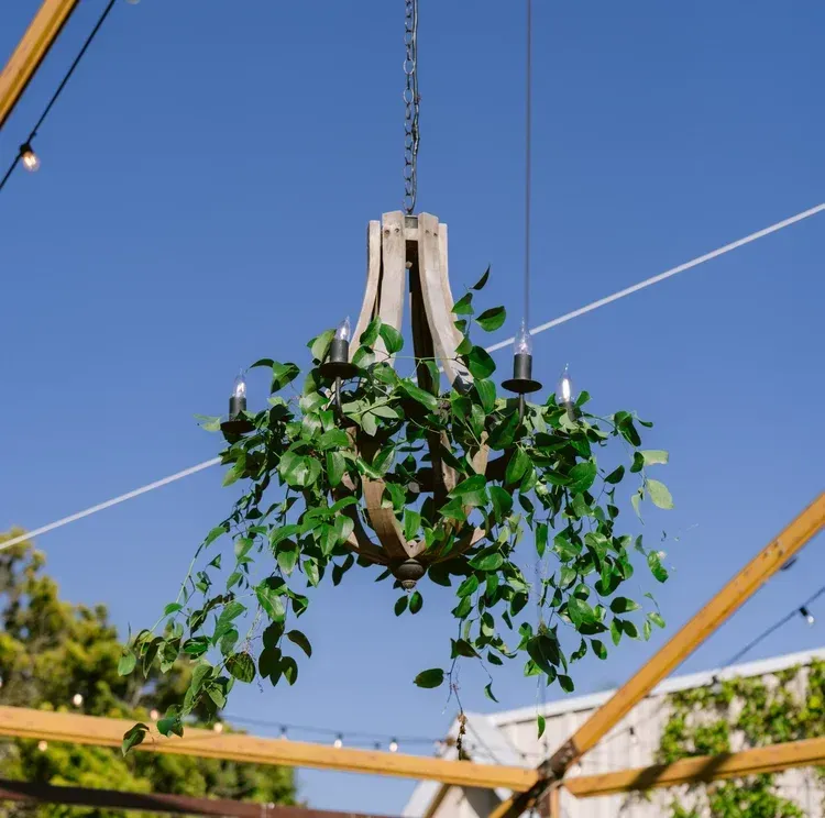 Potted hanging plant suspended from a crane against a clear blue sky