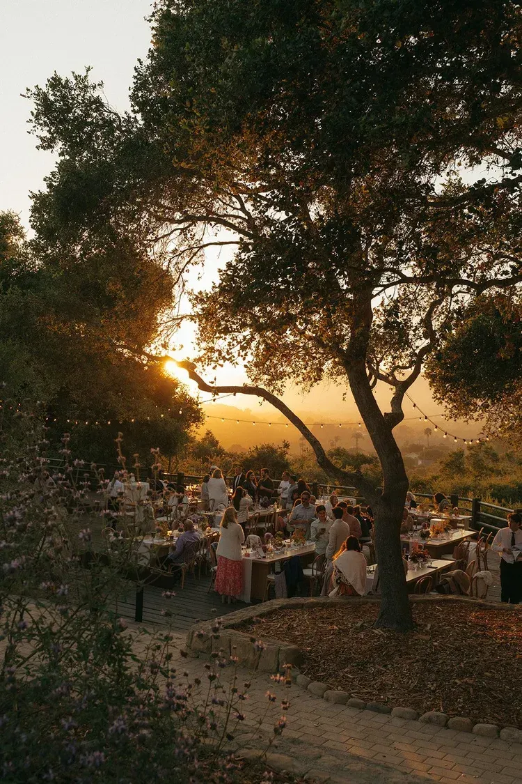 Outdoor dinner tables beneath trees at sunset, with warm golden light filtering through the branches.