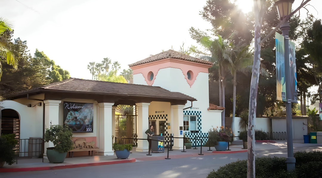 Sunlit entrance to a Spanish-style building with pink walls, arches, palm trees, and a covered walkway