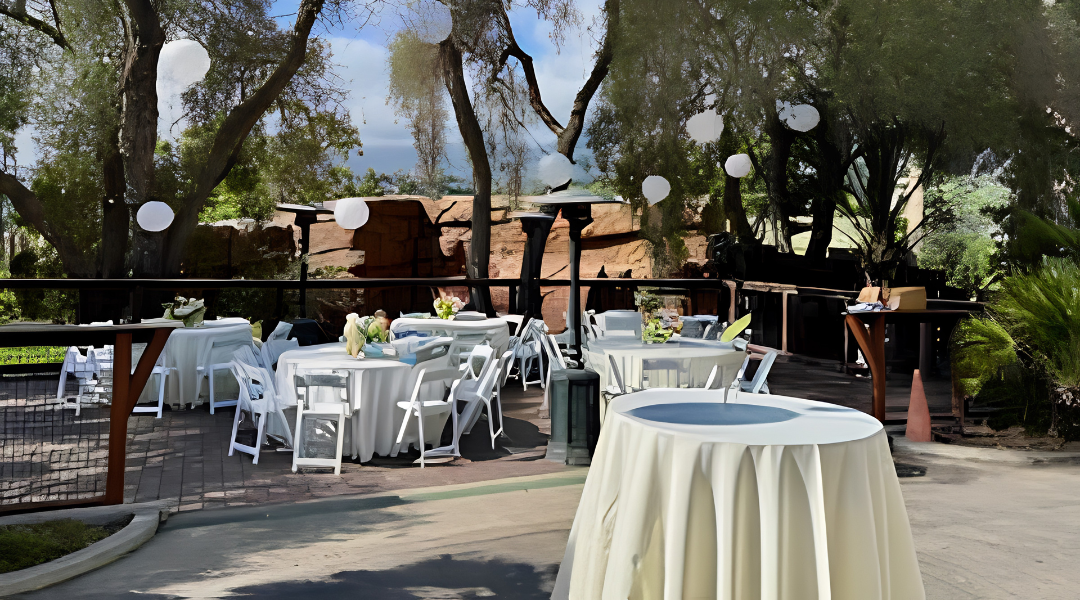 Outdoor patio with white tables and chairs under trees, set for a daytime event.