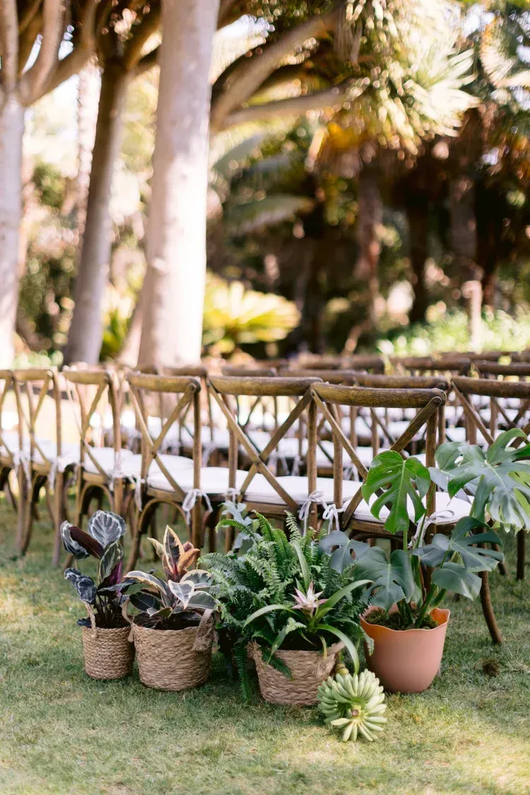 Potted plants arranged on a lawn beside a wooden fence in a tropical garden