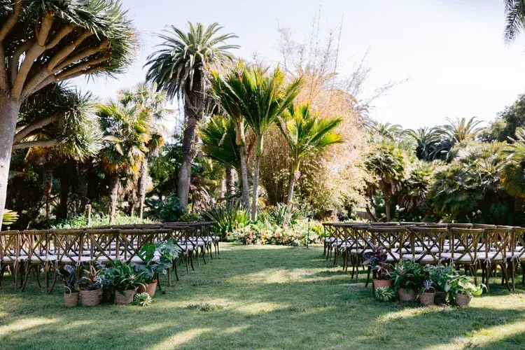 Palm garden with rows of potted plants and a grassy path under tall tropical trees