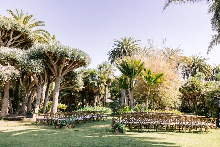 Garden with palm trees and rows of chairs on a grassy lawn under bright sunlight