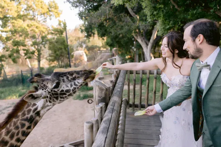 Woman in white dress feeding a giraffe at a zoo railing, with a man standing beside her