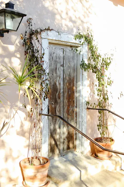 Wooden door framed by climbing vines and potted plants on a sunlit stucco wall