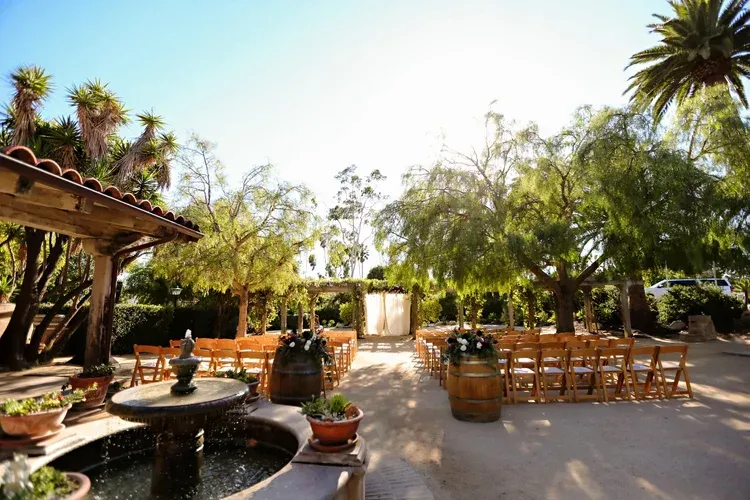 Sunlit outdoor patio with wooden tables, potted plants, fountain, and palm trees under a clear sky