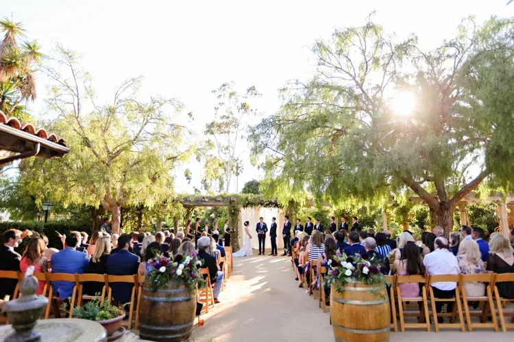 Outdoor wedding ceremony with seated guests under trees on a sunny path