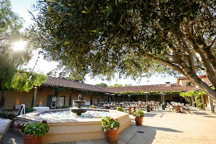 Sunlit courtyard with trees, potted plants, and a circular fountain in front of a low building