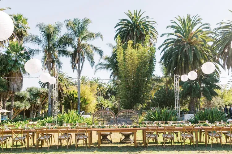 Palm garden event setup with long table, white balloons, and lush palm trees in sunlight