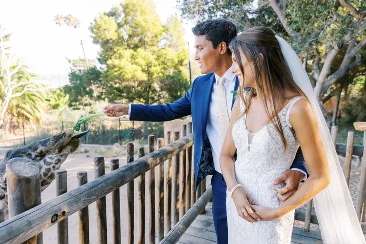 Bride and groom on a wooden bridge, pointing at a peacock in a sunny garden