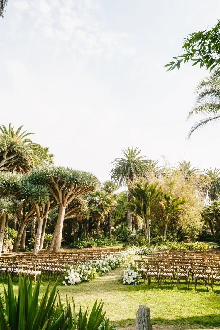 Lush garden with palm trees, white flowers, and a bright green lawn under a clear sky