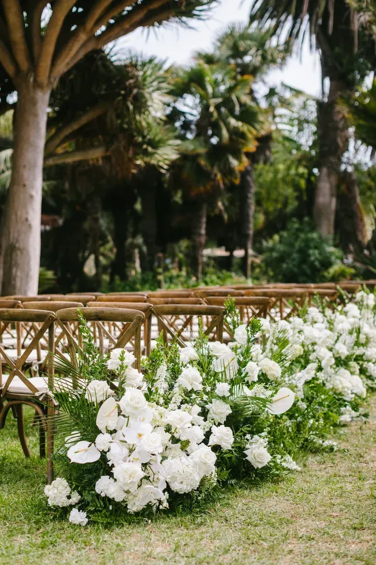 White flowering shrubs along a bamboo fence in a sunny palm-lined garden path