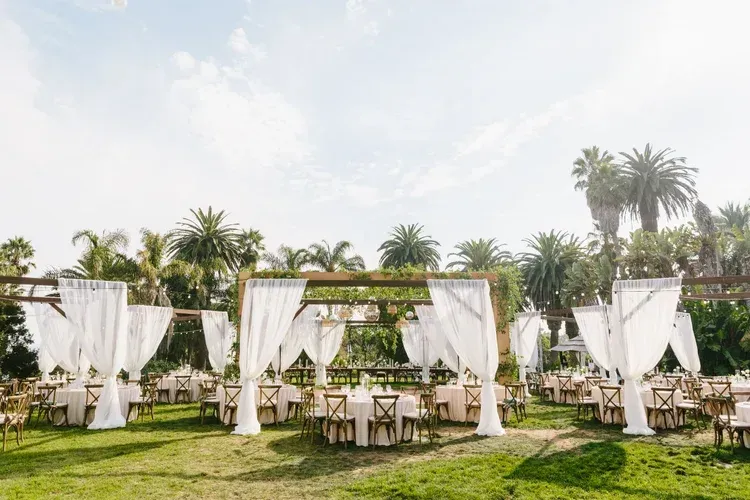 Outdoor wedding setup with white drapes, wooden tables, and palm trees on a sunny lawn