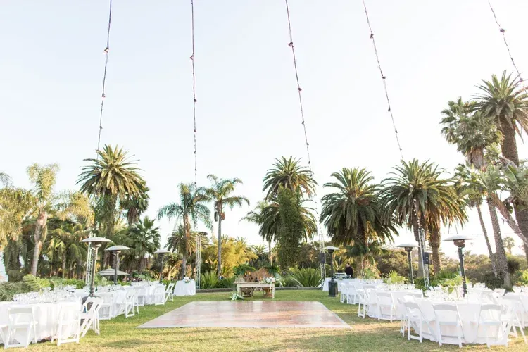 Outdoor wedding setup with white chairs, palm trees, and string lights on a sunny lawn