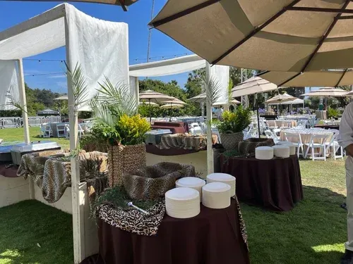 Outdoor buffet setup under white canopies with tables, plants, and serving containers on a grassy lawn.