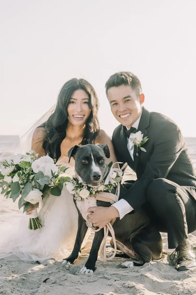 Bride and groom crouch with a black dog holding a bouquet outdoors on a sunny beach