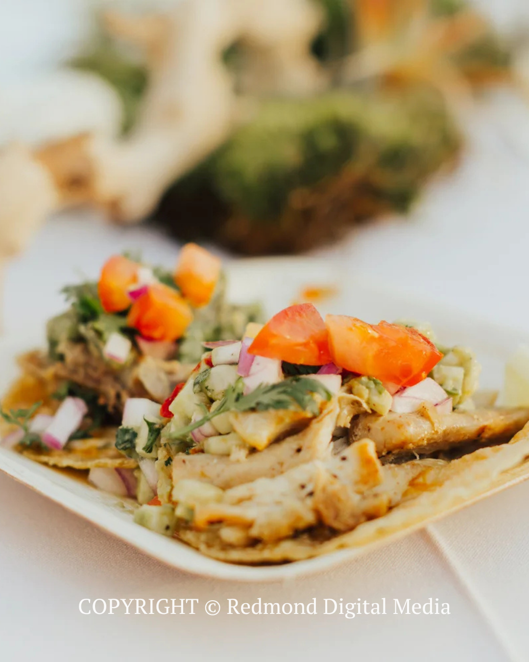 Tacos with grilled fish, avocado, and colorful salsa on a white plate