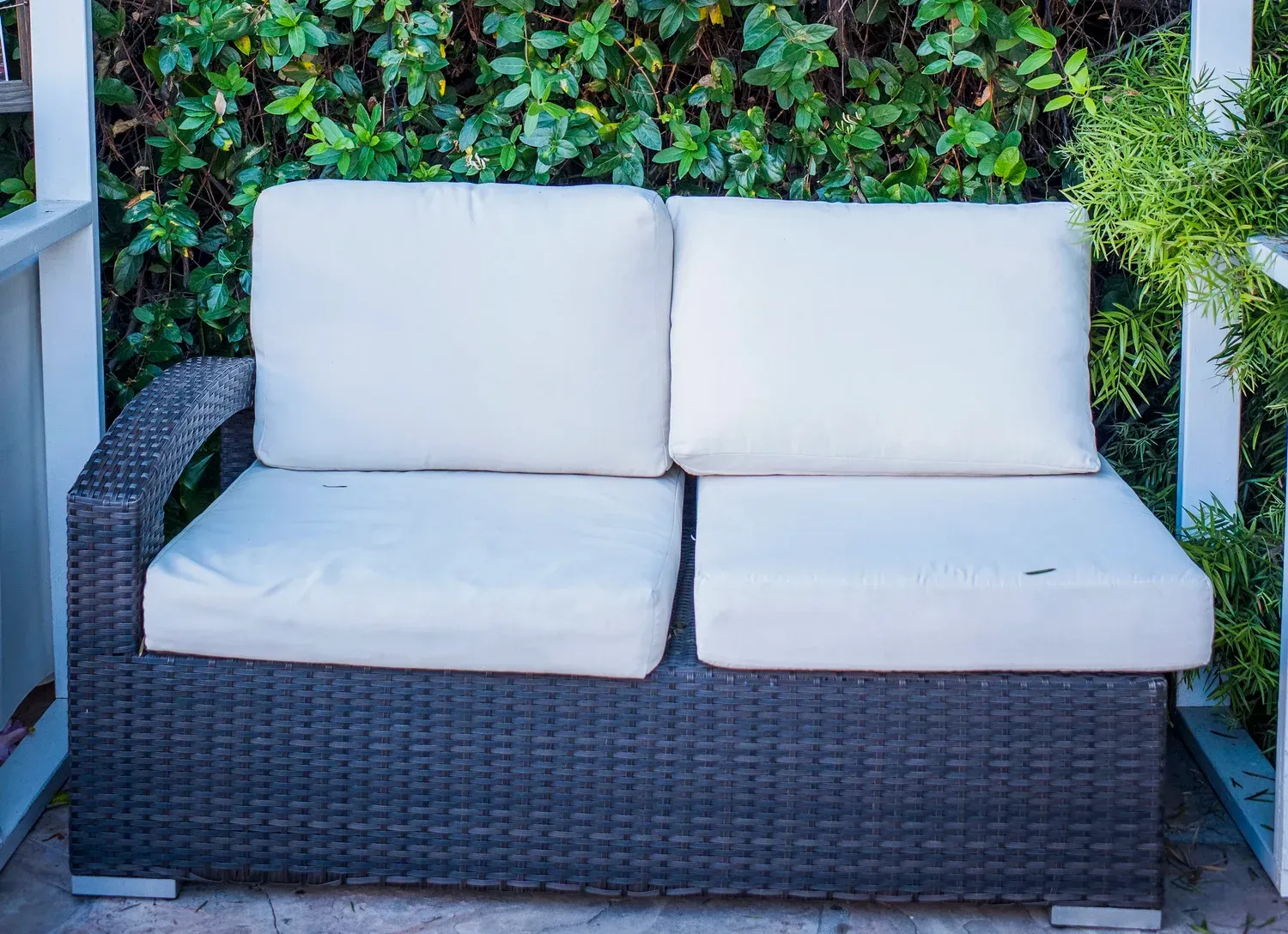 White-cushioned wicker loveseat on a patio in front of a green hedge