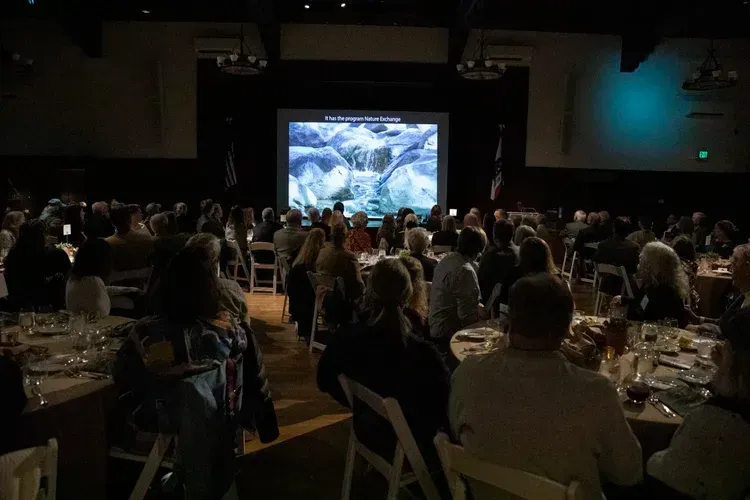 Audience seated at banquet tables watching a large projected screen in a dim conference hall