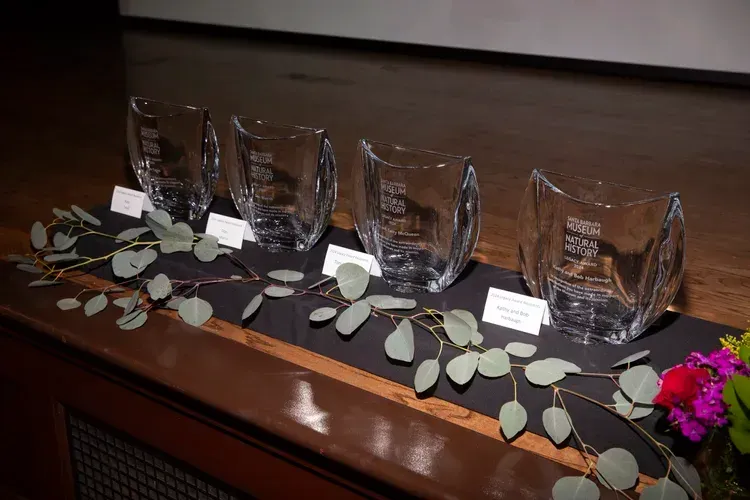 Four engraved glass awards on a polished table with silver leaves and a small purple flower arrangement