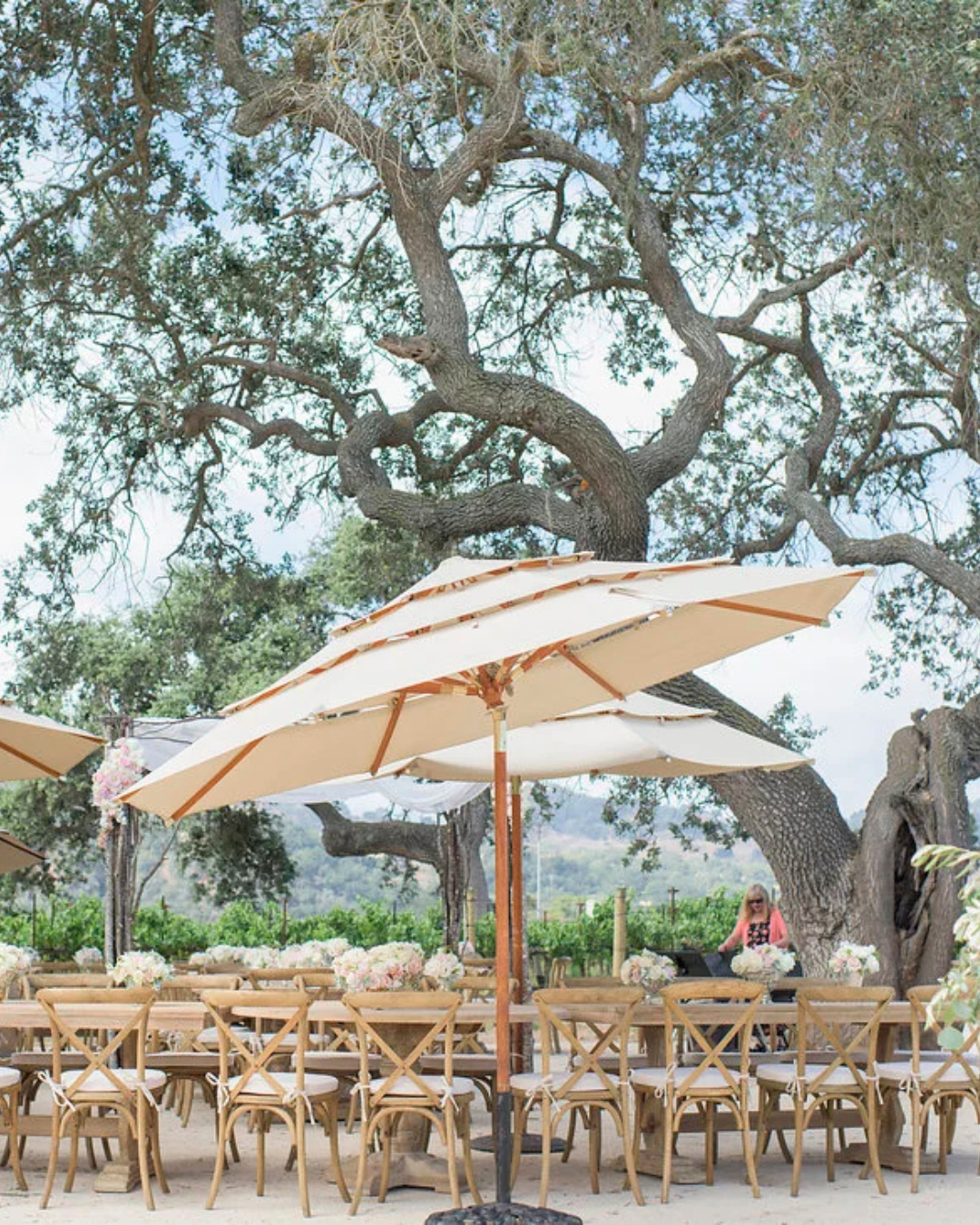 Outdoor café with wooden tables and beige umbrellas beneath a large tree
