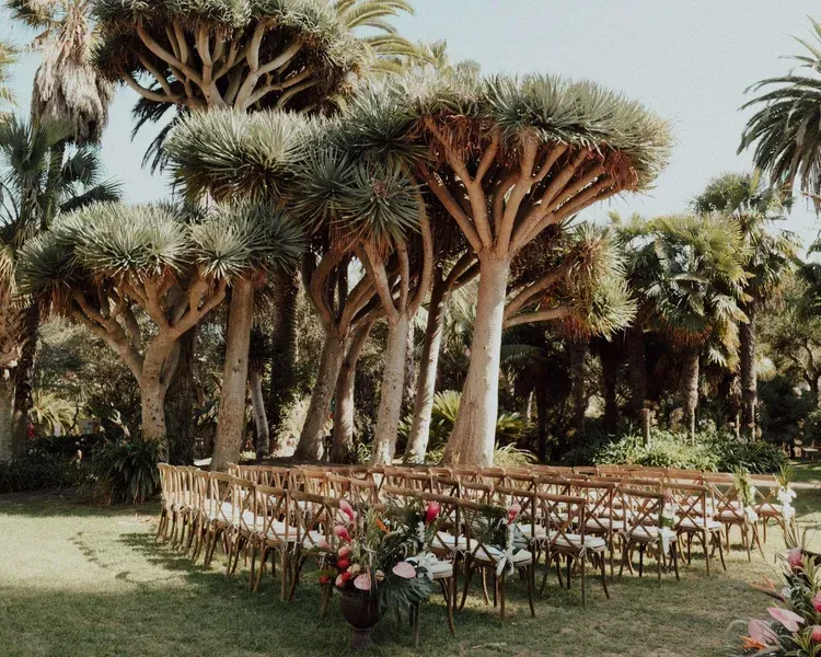 Outdoor garden wedding setup with rows of white chairs, floral decorations, and tall palm trees.