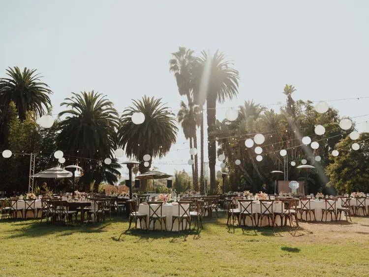 Outdoor event setup on a sunny lawn with tables, chairs, white balloons, and tall palm trees in the background