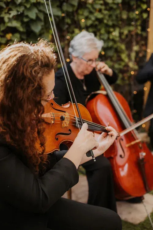 Musicians playing string instruments outdoors, with a violin in the foreground and cellos behind.