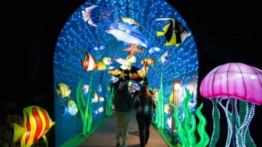 People walking through a colorful underwater-themed light tunnel with fish and jellyfish displays