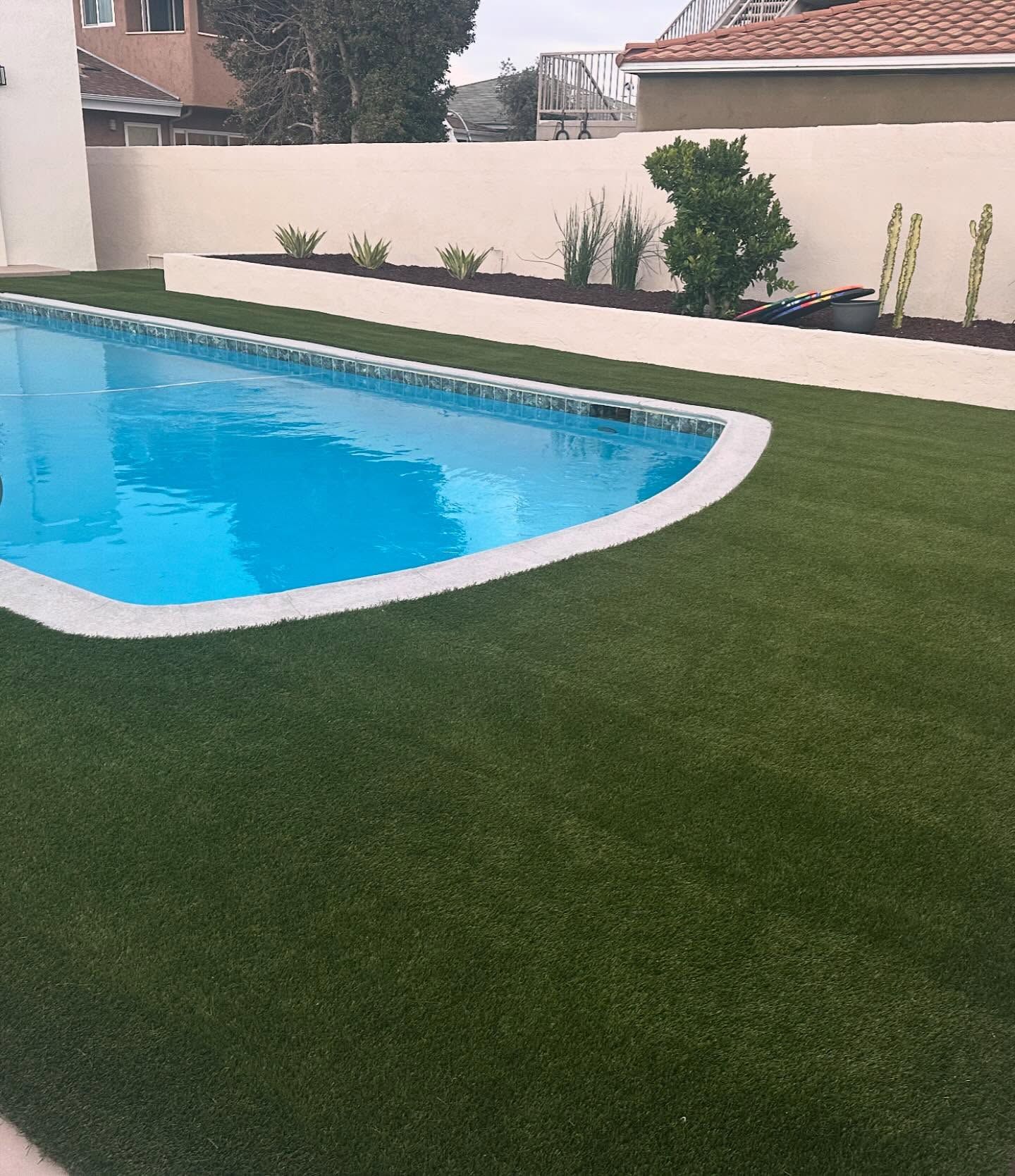 Backyard swimming pool with blue water, white edge, and green lawn beside a cream wall.
