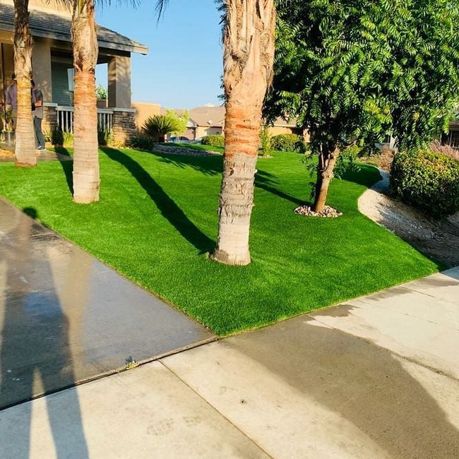 Sunny landscaped yard with palm trees, green lawn, and wet concrete walkways beside a house