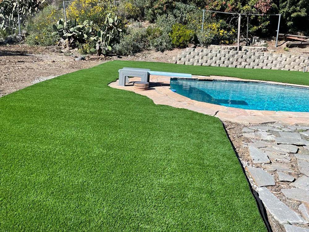 Backyard pool with bright green lawn, stone patio, and desert landscaping under sunlight